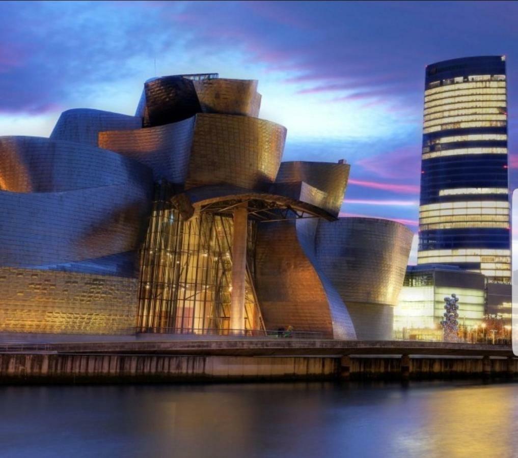 San Mames View Apartment Bilbao Ngoại thất bức ảnh